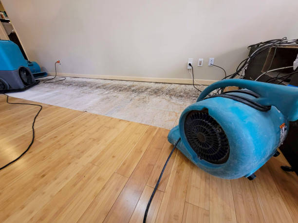 Professional Water Damage Repair technician working in Dale, IN